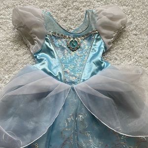 Cinderella Dress